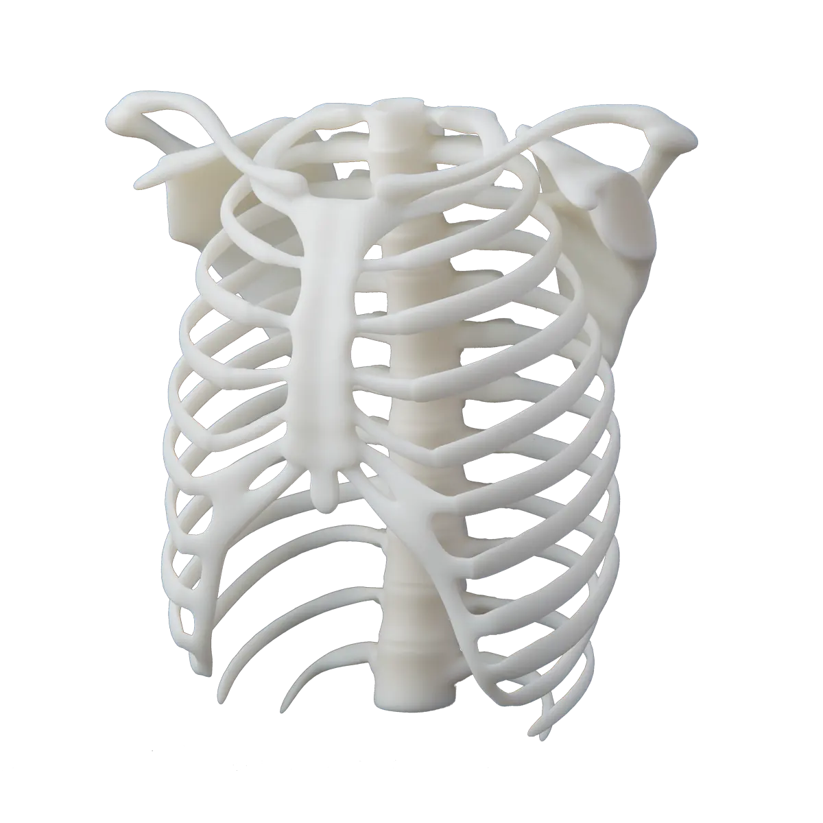 White Resin V4.1 (Form 3)