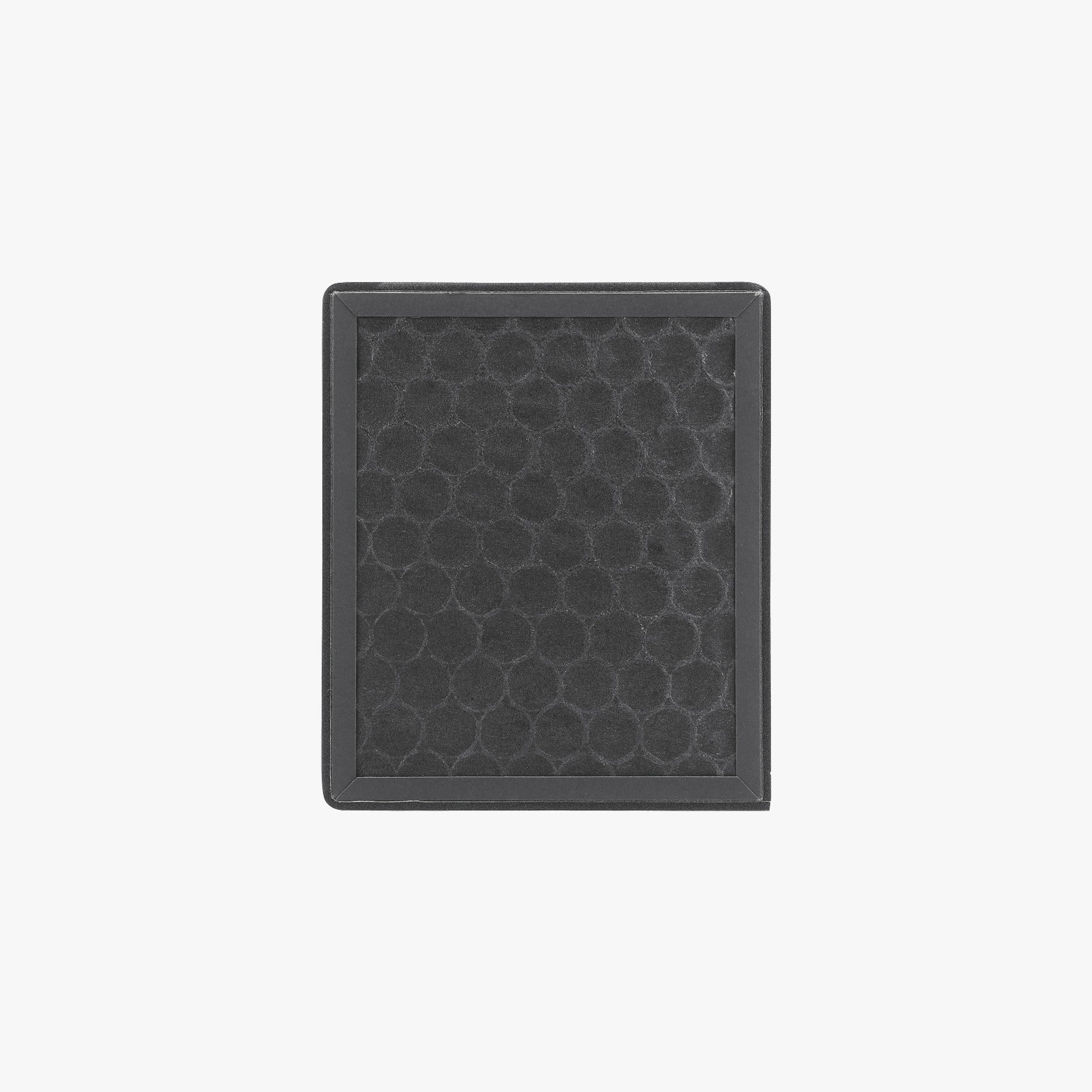 Air Filter (H2D)