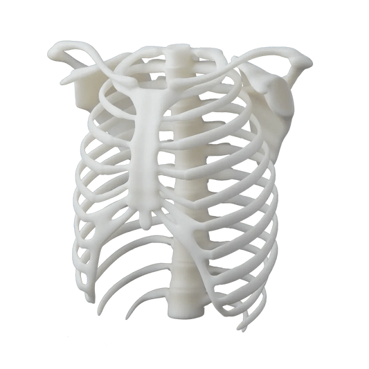 White Resin V4.1 (Form 3) Resin Formlabs - Indicate Technologies